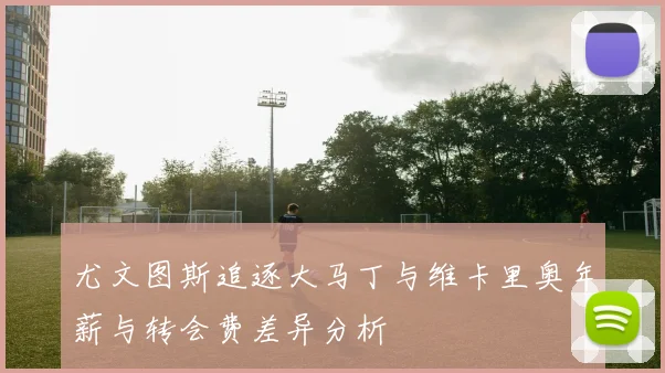 尤文图斯追逐大马丁与维卡里奥年薪与转会费差异分析