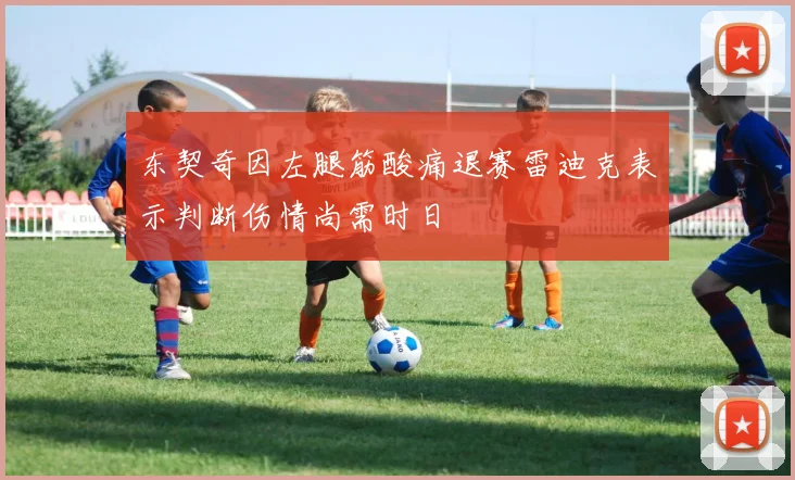 东契奇因左腿筋酸痛退赛雷迪克表示判断伤情尚需时日