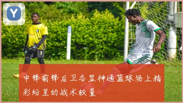 中锋前锋后卫各显神通篮球场上精彩纷呈的战术较量